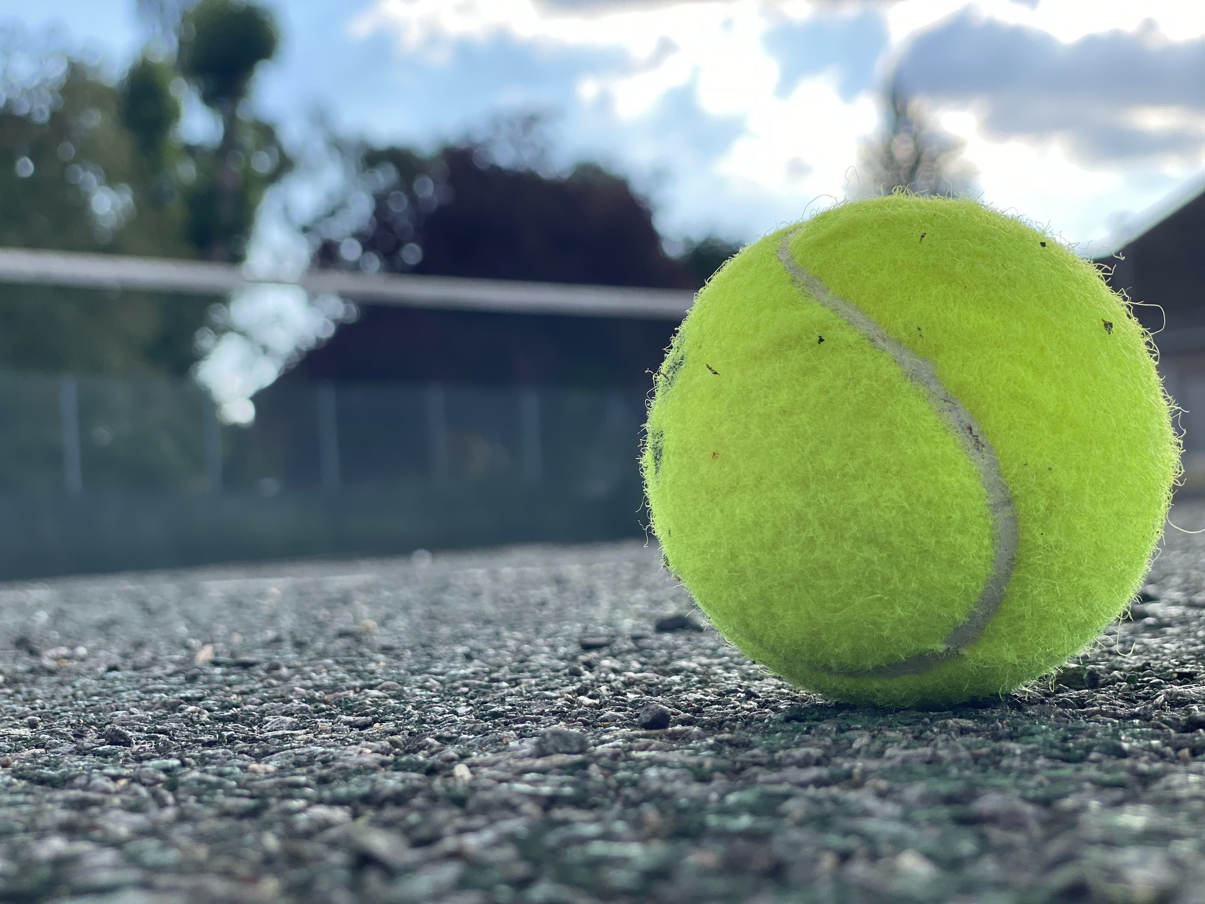 The courts at Bestwood Lodge, looking across the playing surface
