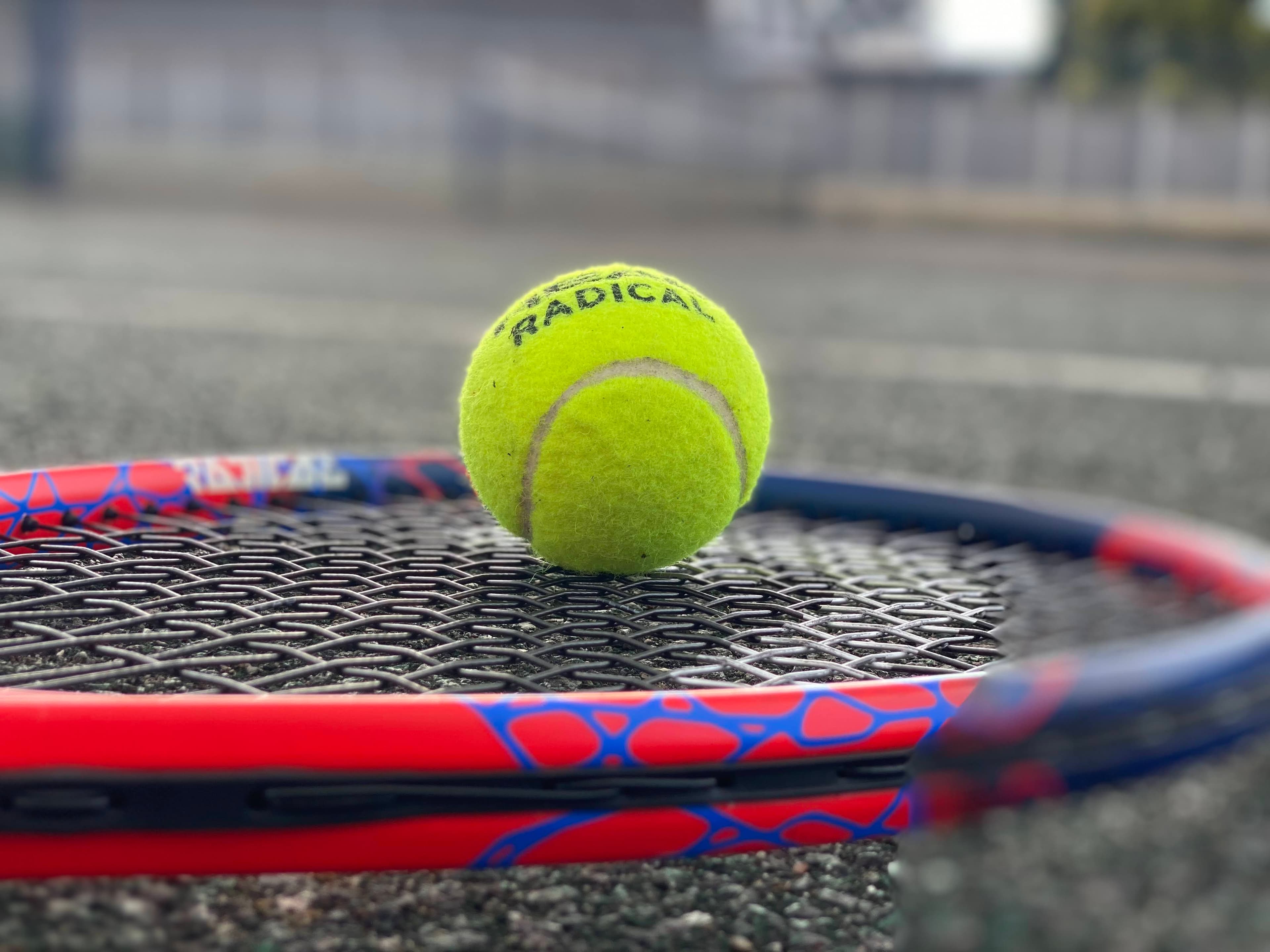 A second view of the Pavilion Road courts